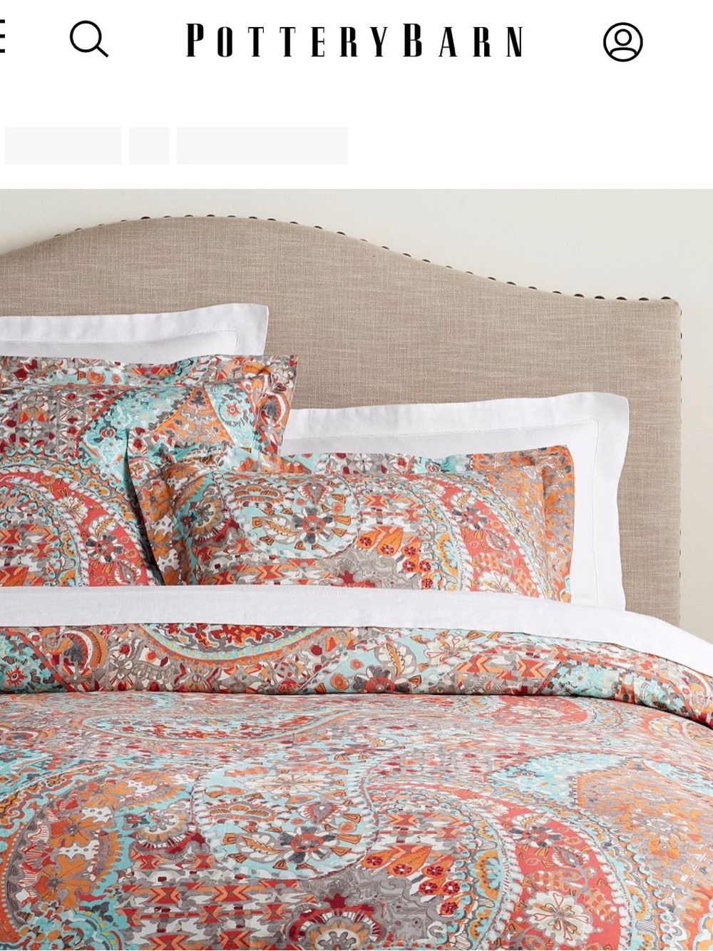 Pottery Barn Paloma Paisley Duvet Cover California King Discontinued